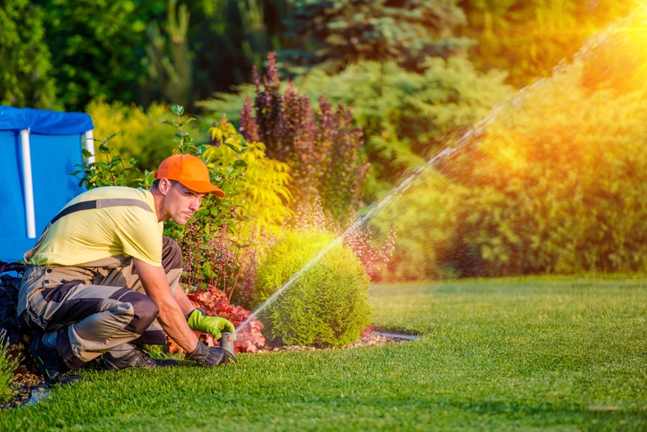 Why landscaping businesses use FSM to optimise resources